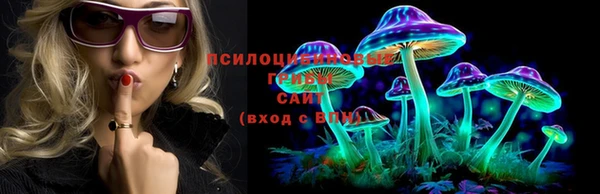 мяу мяу мука Медногорск